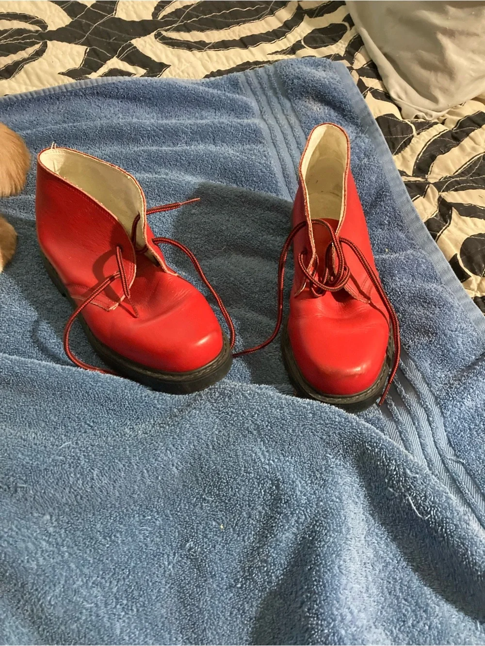 Classic Red Lace-Up Ankle Booties for Women